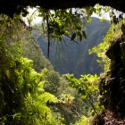 Madeira2008 CRW 5121 - Arbeitskopie 2 : portugal, madeira