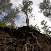 Madeira2008 CRW 5188 - Arbeitskopie 2 : portugal, madeira