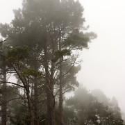 Madeira2008 CRW 5261 - Arbeitskopie 2 : portugal, madeira