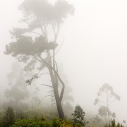 Madeira2008 CRW 5265 - Arbeitskopie 2 : portugal, madeira