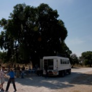 africa2006 CRW 3121 : Africa Afrika, Urlaub