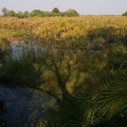 africa2006 CRW 3174 : Africa Afrika, Natur Nature, Urlaub