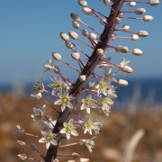 CRW 4387 : Crete, Greece, Griechenland, Holiday, Kreta, Urlaub